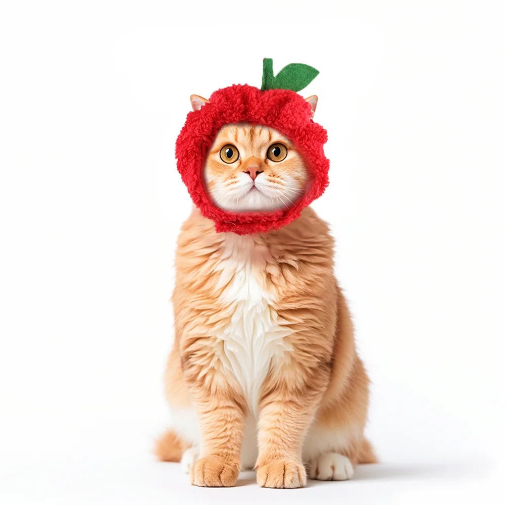Cute Cat Hat Plush – Winter Knitted Pet Hat for Puppies & Kittens, Cosplay & Party Accessories - WAREHOUSE SHOP