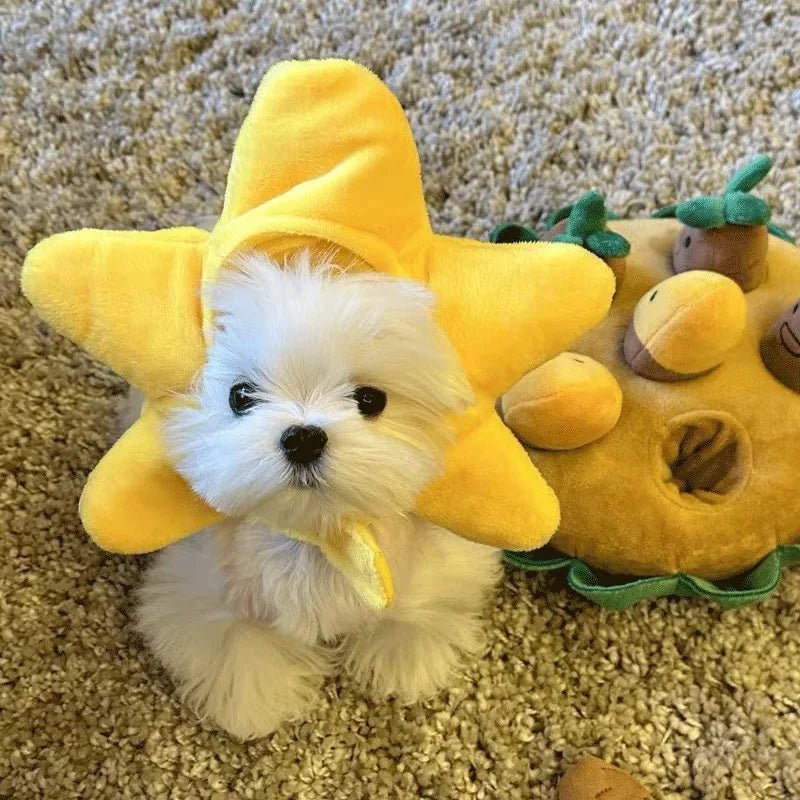 Cute Cat Hat Plush – Winter Knitted Pet Hat for Puppies & Kittens, Cosplay & Party Accessories - WAREHOUSE SHOP