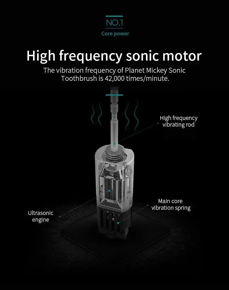 Electric Ultrasonic Toothbrush – 6 Speed Modes | Soft Bristles | USB Rechargeable | Waterproof | Adult Tooth Cleaner | Automatic Couple Set - WAREHOUSE SHOP