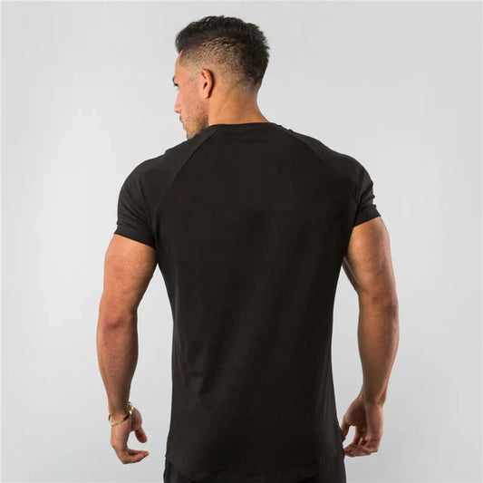 Regular Men Short Sleeve T-shirt. Casual, Joggers, Bodybuilding Tshirt. WAREHOUSE SHOP