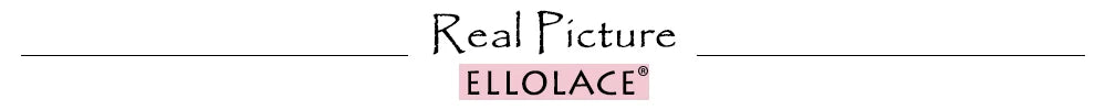 Ellolace Butterfly Embroidery Lace Bodysuit Patchwork Lace Body Clothes Beautiful Translucent Bra Crotchless Sexy Top Lingeries