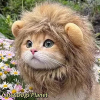 Cute Cat Hat Plush – Winter Knitted Pet Hat for Puppies & Kittens, Cosplay & Party Accessories - WAREHOUSE SHOP