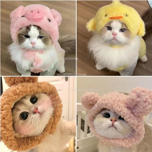 Cute Cat Hat Plush – Winter Knitted Pet Hat for Puppies & Kittens, Cosplay & Party Accessories - WAREHOUSE SHOP