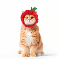 Cute Cat Hat Plush – Winter Knitted Pet Hat for Puppies & Kittens, Cosplay & Party Accessories - WAREHOUSE SHOP