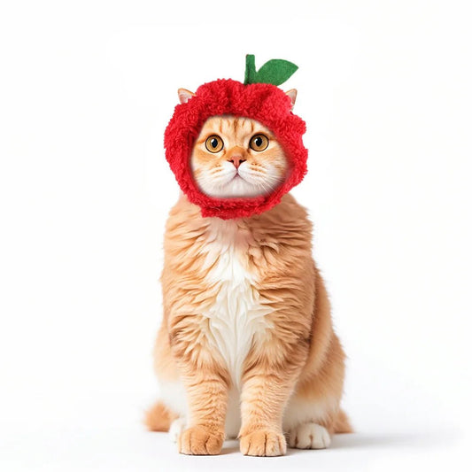 Cute Cat Hat Plush – Winter Knitted Pet Hat for Puppies & Kittens, Cosplay & Party Accessories - WAREHOUSE SHOP