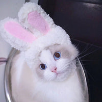 Cute Cat Hat Plush – Winter Knitted Pet Hat for Puppies & Kittens, Cosplay & Party Accessories - WAREHOUSE SHOP