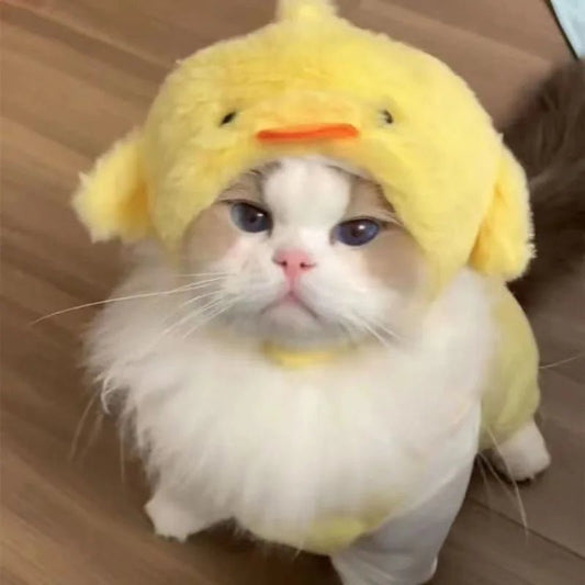 Cute Cat Hat Plush – Winter Knitted Pet Hat for Puppies & Kittens, Cosplay & Party Accessories - WAREHOUSE SHOP
