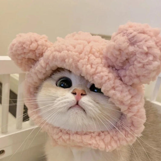 Cute Cat Hat Plush – Winter Knitted Pet Hat for Puppies & Kittens, Cosplay & Party Accessories - WAREHOUSE SHOP