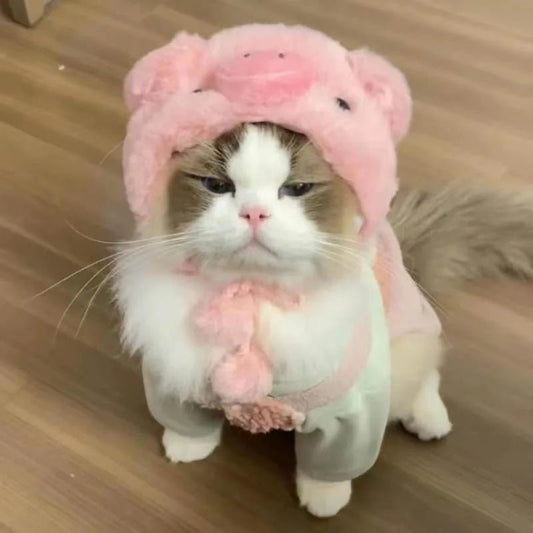 Cute Cat Hat Plush – Winter Knitted Pet Hat for Puppies & Kittens, Cosplay & Party Accessories - WAREHOUSE SHOP
