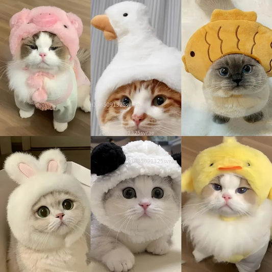Cute Cat Hat Plush – Winter Knitted Pet Hat for Puppies & Kittens, Cosplay & Party Accessories - WAREHOUSE SHOP