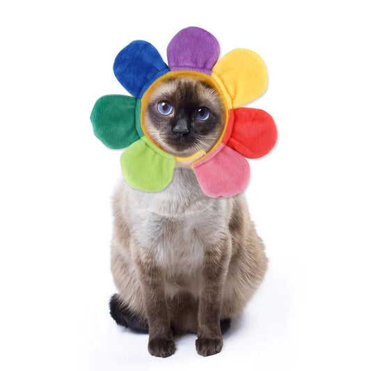 Cute Cat Hat Plush – Winter Knitted Pet Hat for Puppies & Kittens, Cosplay & Party Accessories - WAREHOUSE SHOP