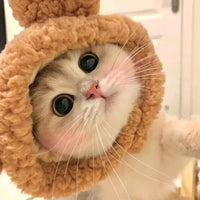 Cute Cat Hat Plush – Winter Knitted Pet Hat for Puppies & Kittens, Cosplay & Party Accessories - WAREHOUSE SHOP