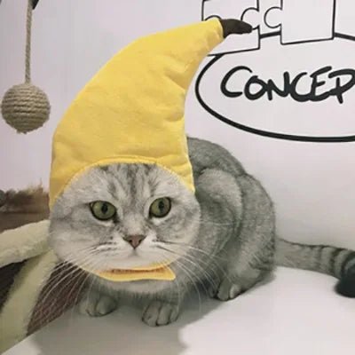 Cute Cat Hat Plush – Winter Knitted Pet Hat for Puppies & Kittens, Cosplay & Party Accessories - WAREHOUSE SHOP