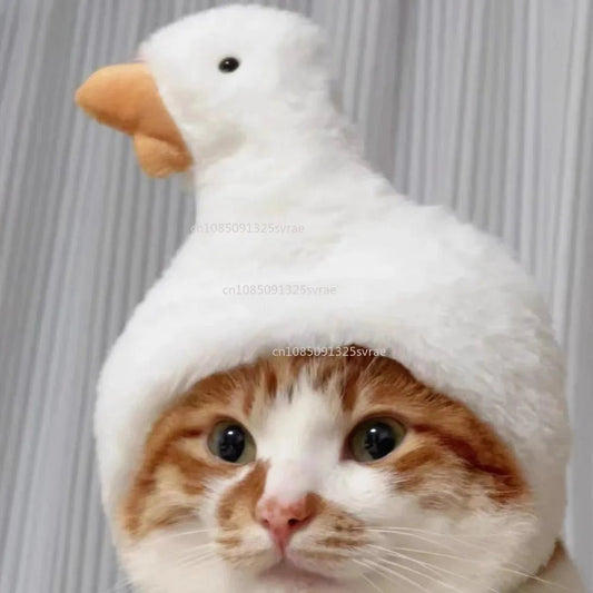 Cute Cat Hat Plush – Winter Knitted Pet Hat for Puppies & Kittens, Cosplay & Party Accessories - WAREHOUSE SHOP
