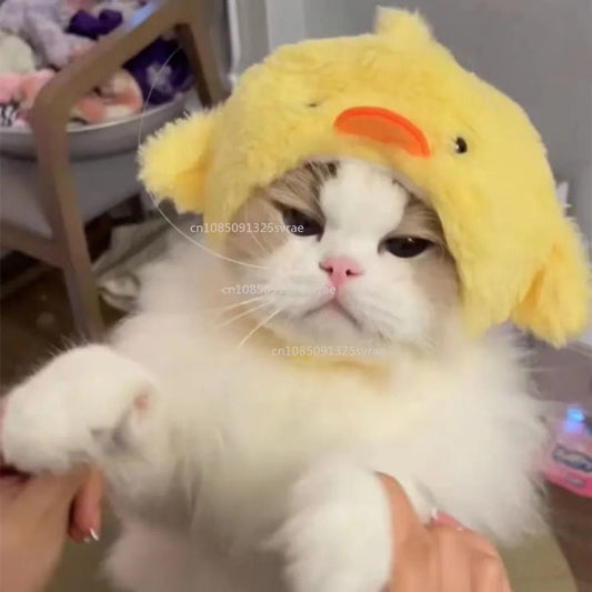 Cute Cat Hat Plush – Winter Knitted Pet Hat for Puppies & Kittens, Cosplay & Party Accessories - WAREHOUSE SHOP