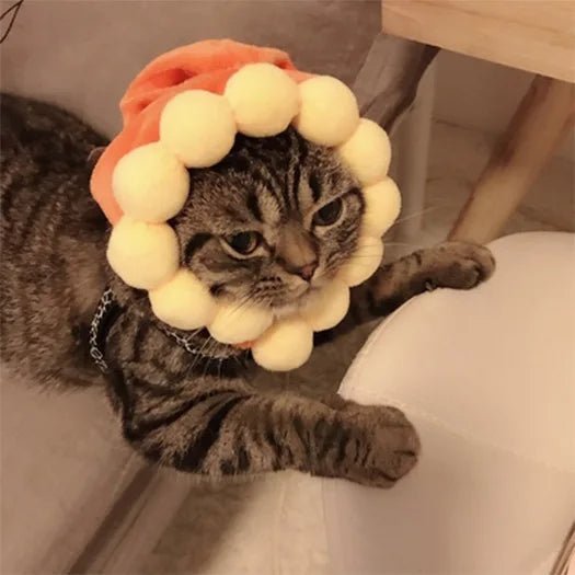 Cute Cat Hat Plush – Winter Knitted Pet Hat for Puppies & Kittens, Cosplay & Party Accessories - WAREHOUSE SHOP