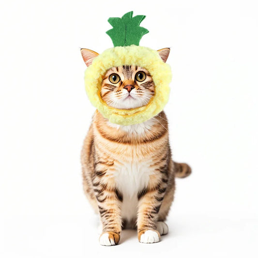 Cute Cat Hat Plush – Winter Knitted Pet Hat for Puppies & Kittens, Cosplay & Party Accessories - WAREHOUSE SHOP