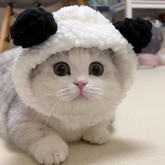 Cute Cat Hat Plush – Winter Knitted Pet Hat for Puppies & Kittens, Cosplay & Party Accessories - WAREHOUSE SHOP
