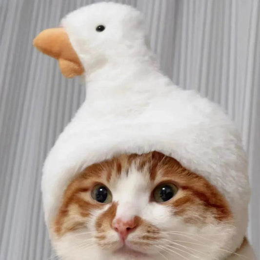 Cute Cat Hat Plush – Winter Knitted Pet Hat for Puppies & Kittens, Cosplay & Party Accessories - WAREHOUSE SHOP