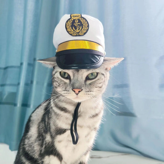 Cute Cat Hat Plush – Winter Knitted Pet Hat for Puppies & Kittens, Cosplay & Party Accessories - WAREHOUSE SHOP