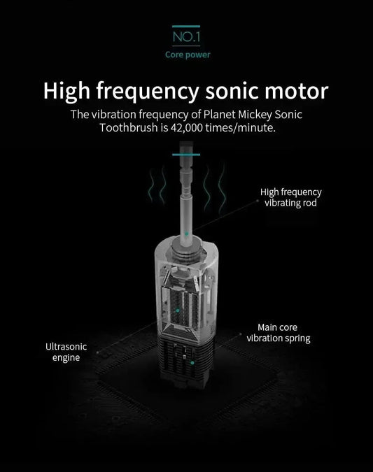 Electric Ultrasonic Toothbrush – 6 Speed Modes | Soft Bristles | USB Rechargeable | Waterproof | Adult Tooth Cleaner | Automatic Couple Set - WAREHOUSE SHOP